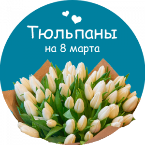 Купить тюльпаны в Мирнограде